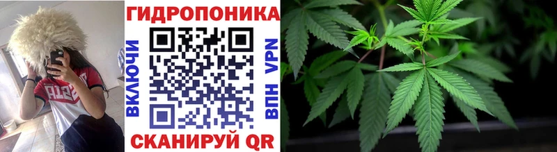 Бошки марихуана гибрид  Новое Девяткино 